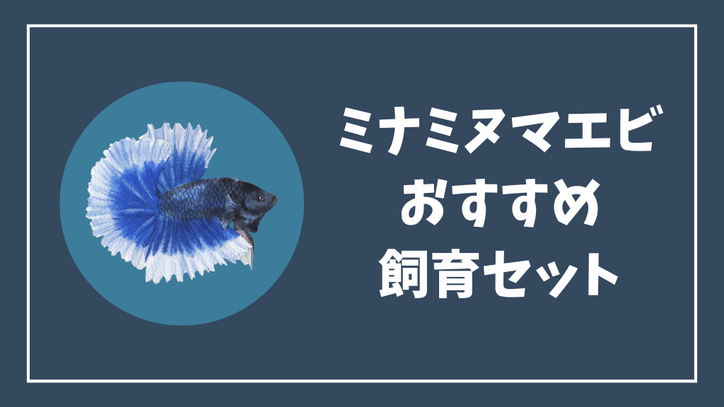 ミナミヌマエビにおすすめの飼育セット