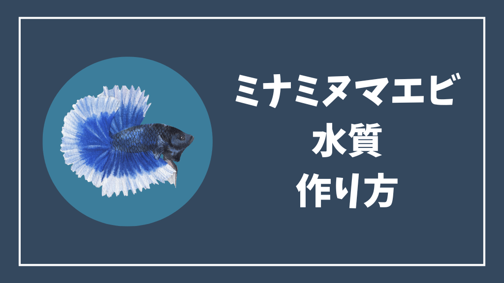 ミナミヌマエビに適した水質の作り方