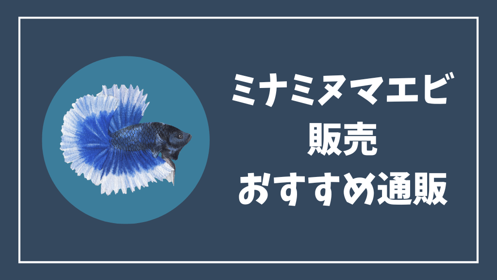 ミナミヌマエビの通販