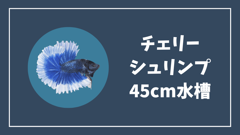 チェリーシュリンプにおすすめの45cm水槽