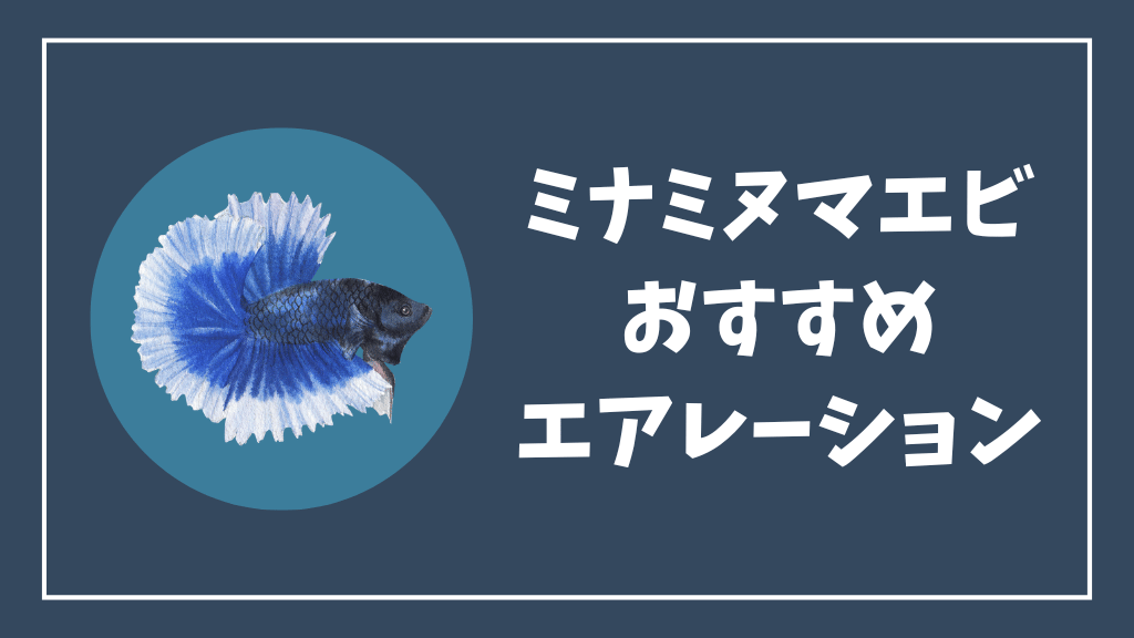 ミナミヌマエビにおすすめのエアレーションセット