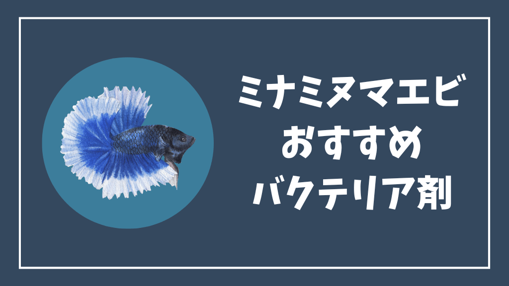 ミナミヌマエビにおすすめのバクテリア剤