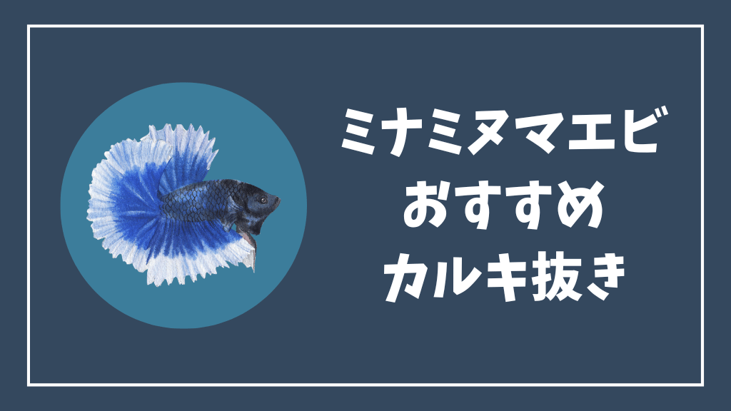 ミナミヌマエビにおすすめのカルキ抜き