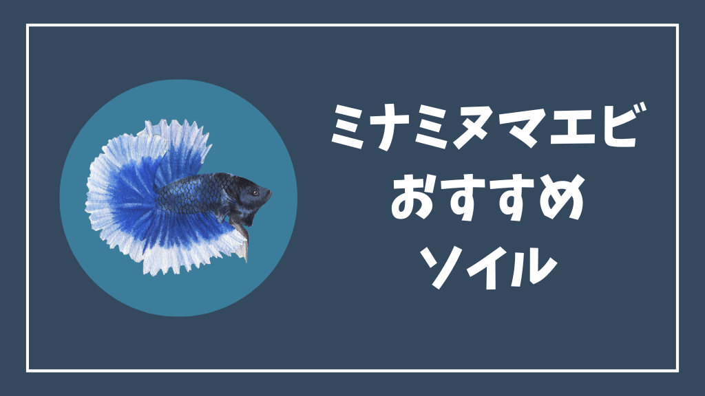 ミナミヌマエビにおすすめのソイル