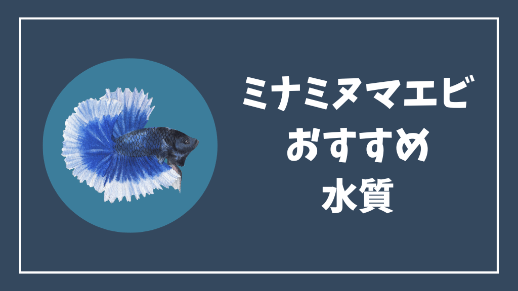 ミナミヌマエビにおすすめの水質