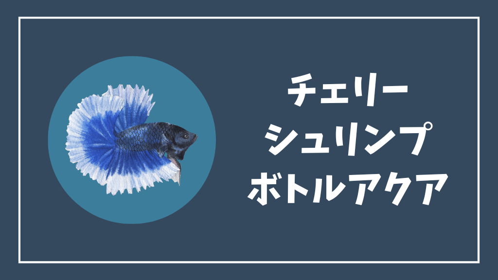 チェリーシュリンプにおすすめのボトルアクアリウム