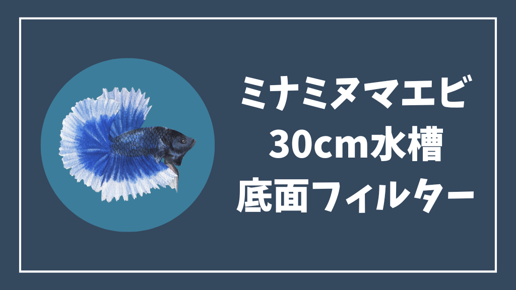 ミナミヌマエビの30cm水槽の底面フィルター