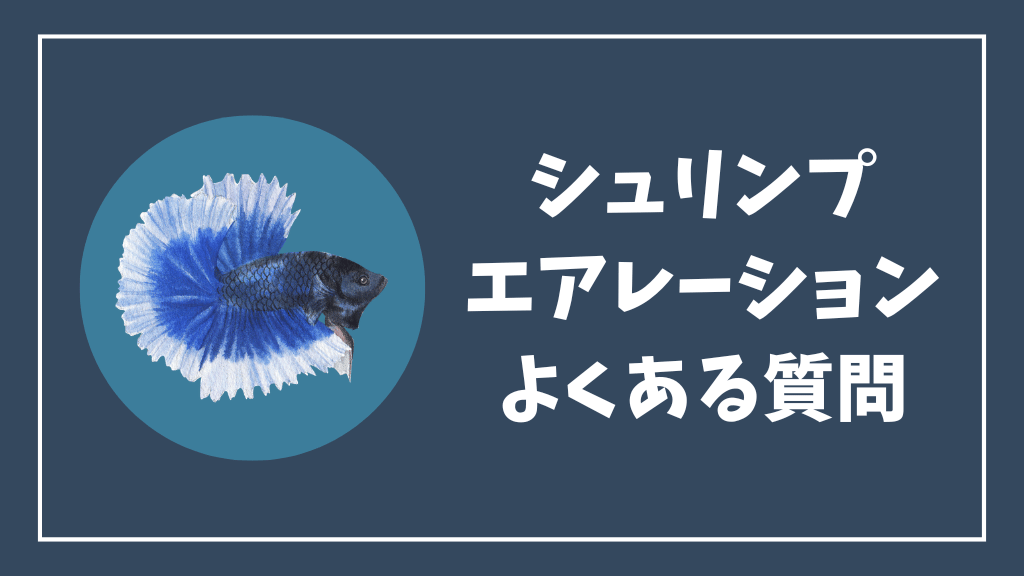 チェリーシュリンプのエアレーションのよくある質問