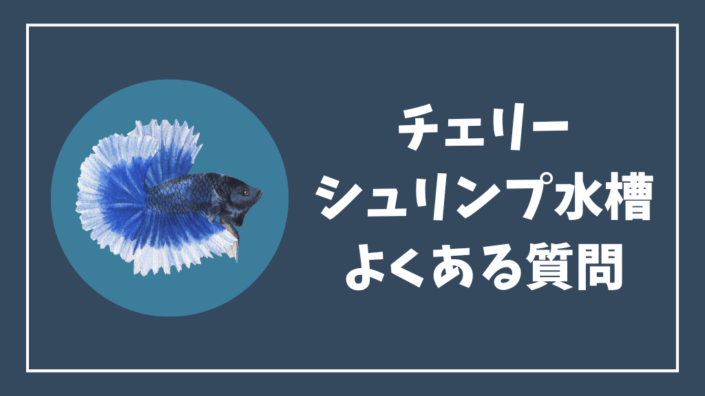 チェリーシュリンプ水槽のよくある質問