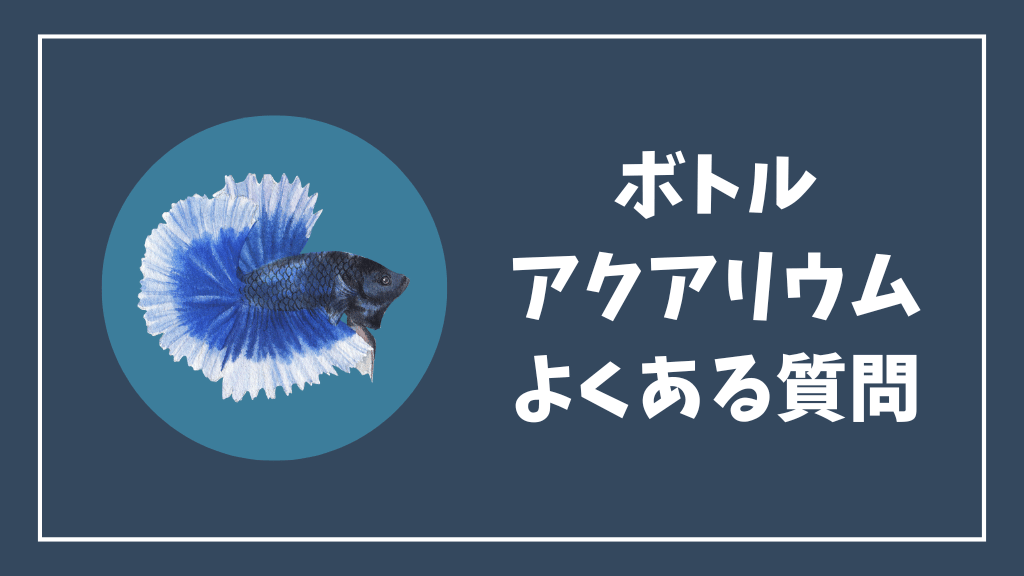 チェリーシュリンプのボトルアクアリウムのよくある質問