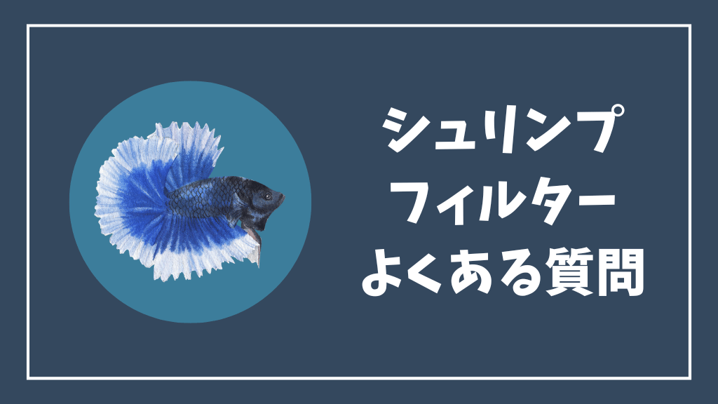 チェリーシュリンプのフィルターのよくある質問