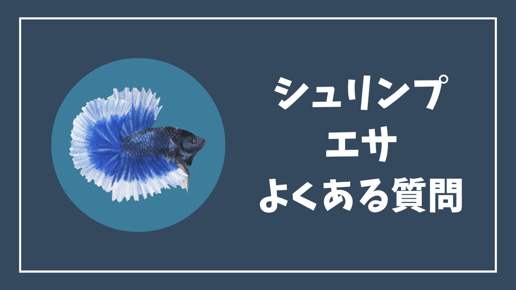 チェリーシュリンプの餌のよくある質問