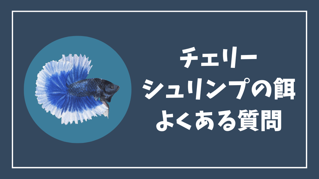 チェリーシュリンプの餌のよくある質問