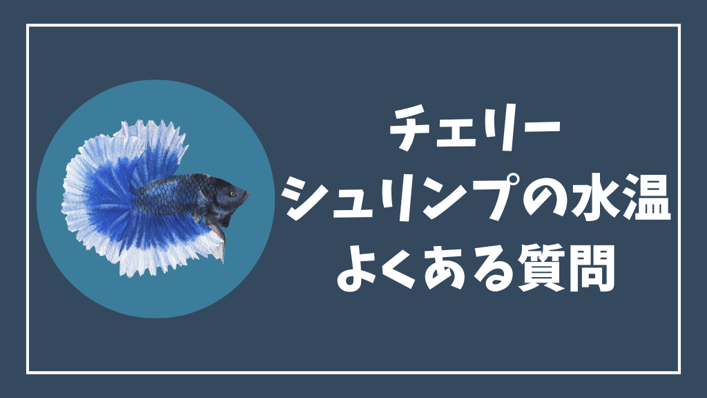 チェリーシュリンプの水温のよくある質問