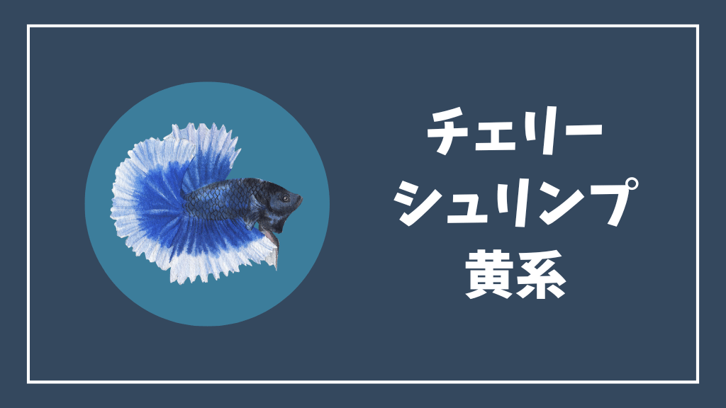 黄系のチェリーシュリンプ