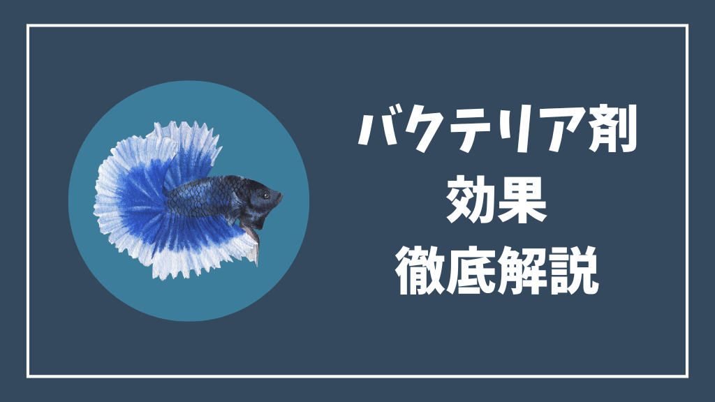 バクテリア剤の効果