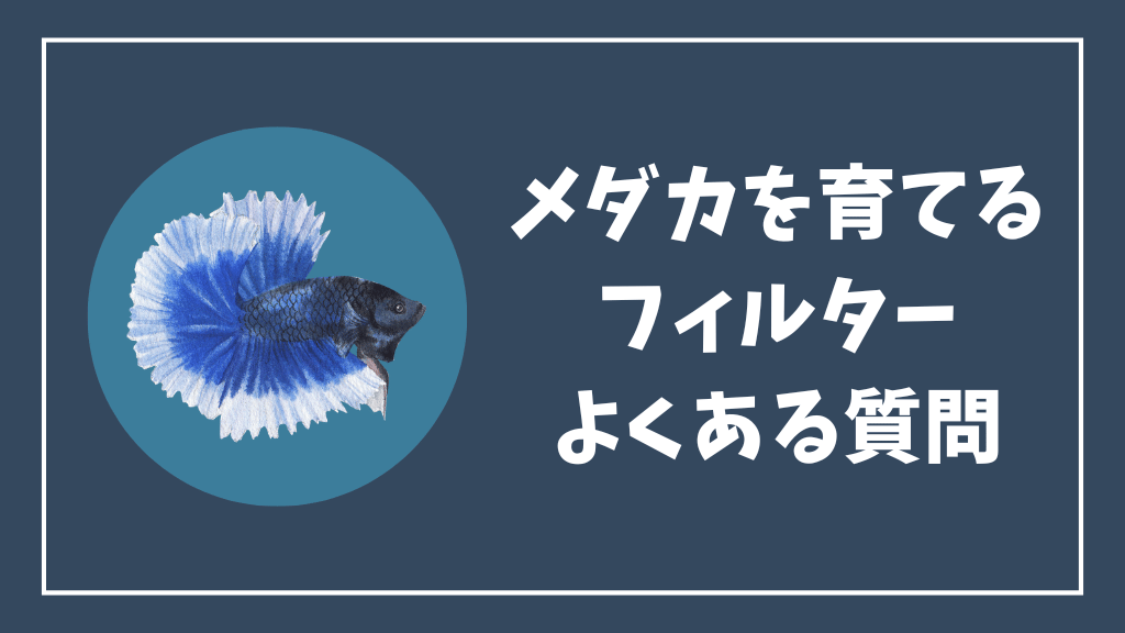 メダカを育てるフィルターのよくある質問