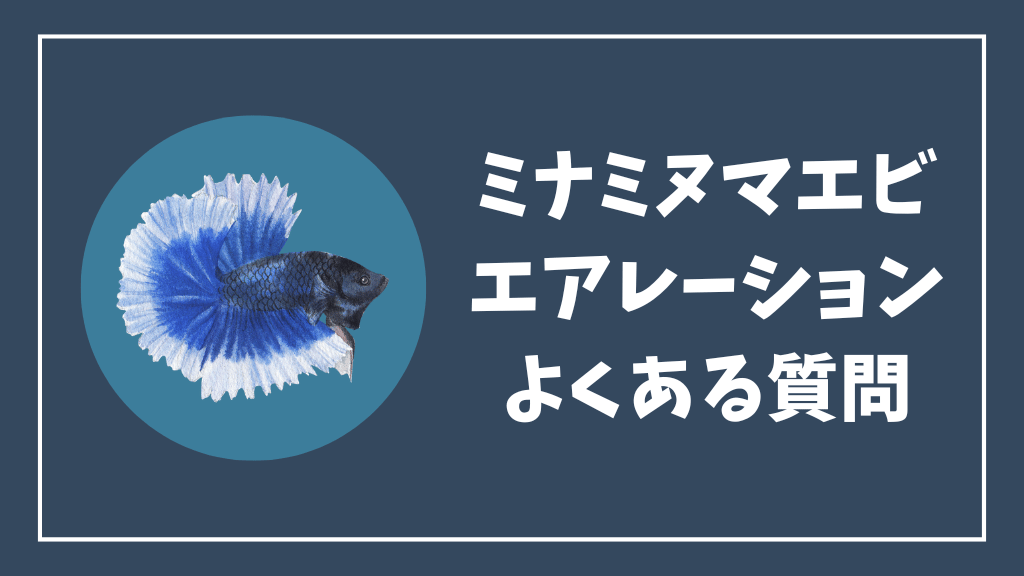 ミナミヌマエビのエアレーションのよくある質問