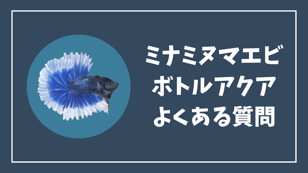 ミナミヌマエビのボトルアクアリウムのよくある質問