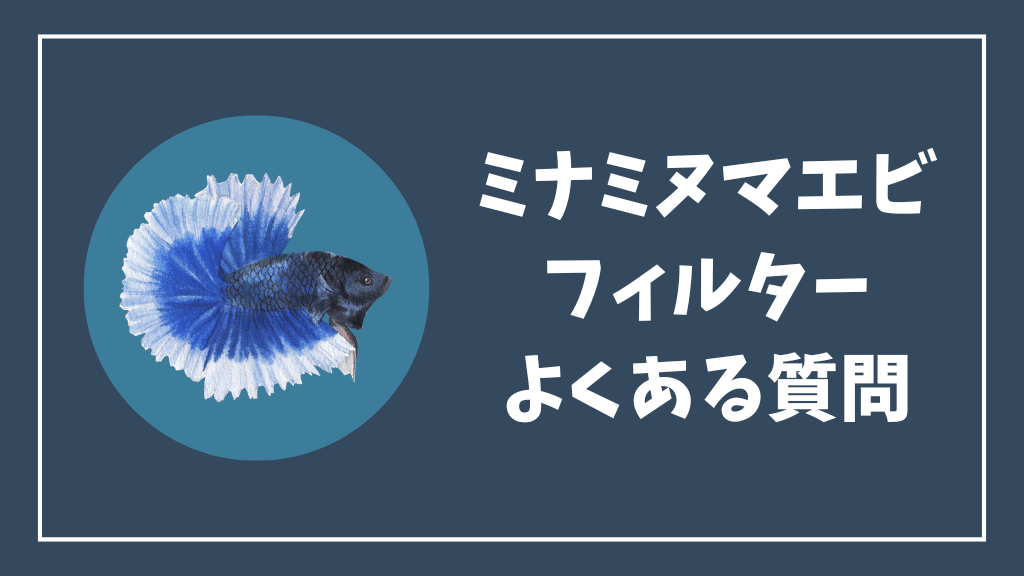 ミナミヌマエビのフィルターのよくある質問