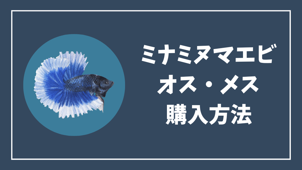 ミナミヌマエビのオスとメスを購入する方法