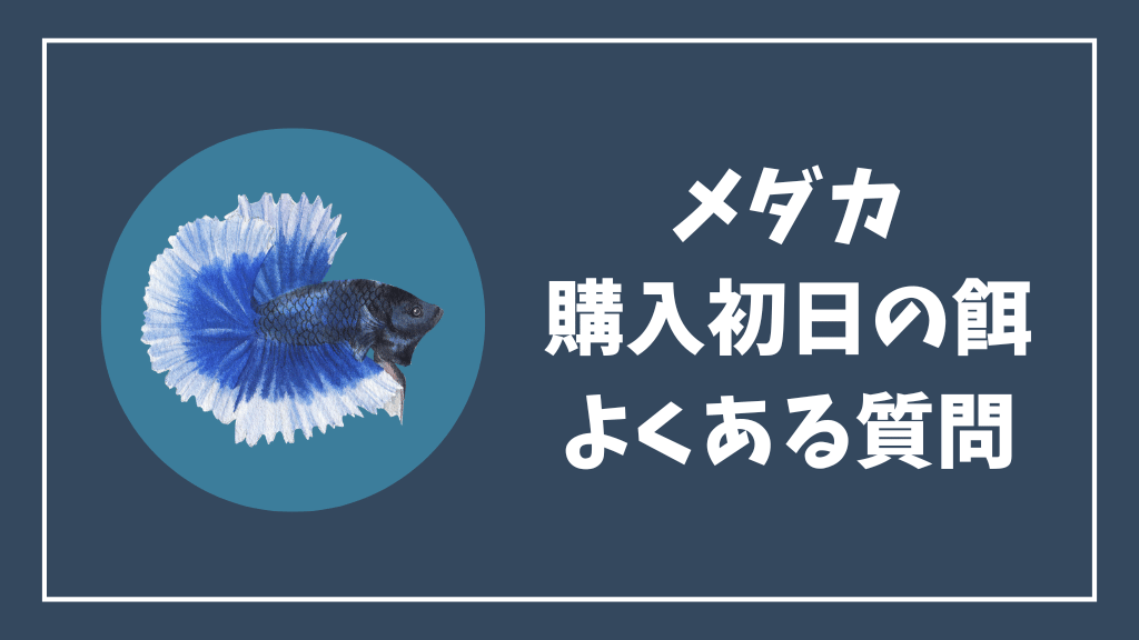 メダカの購入初日の餌のよくある質問