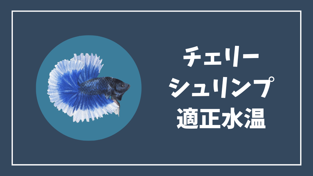 チェリーシュリンプの適正水温