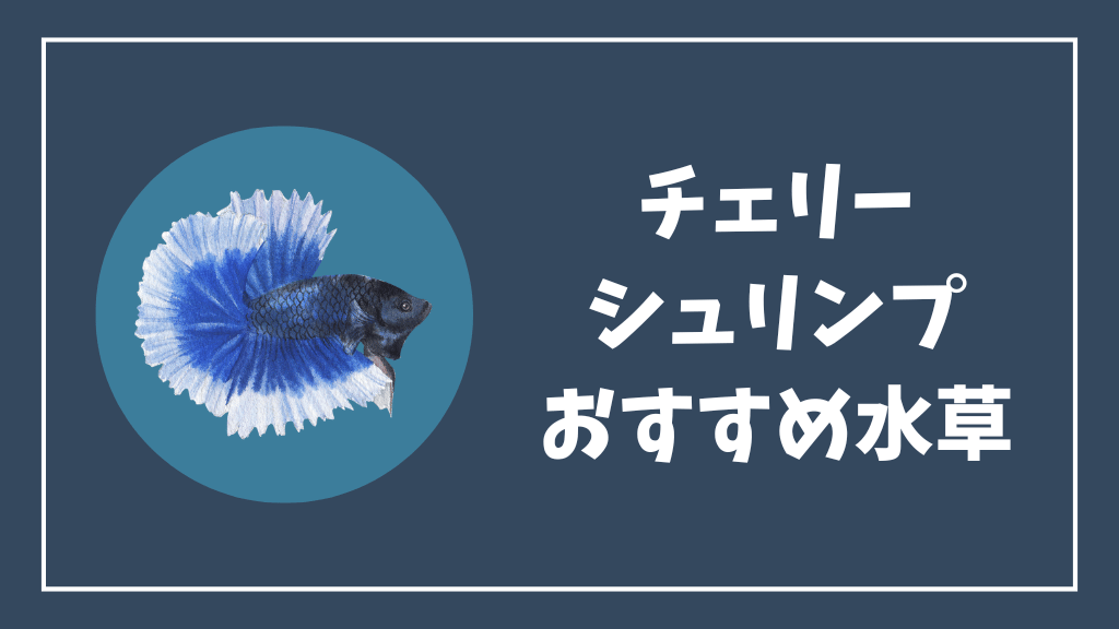 チェリーシュリンプにおすすめの水草