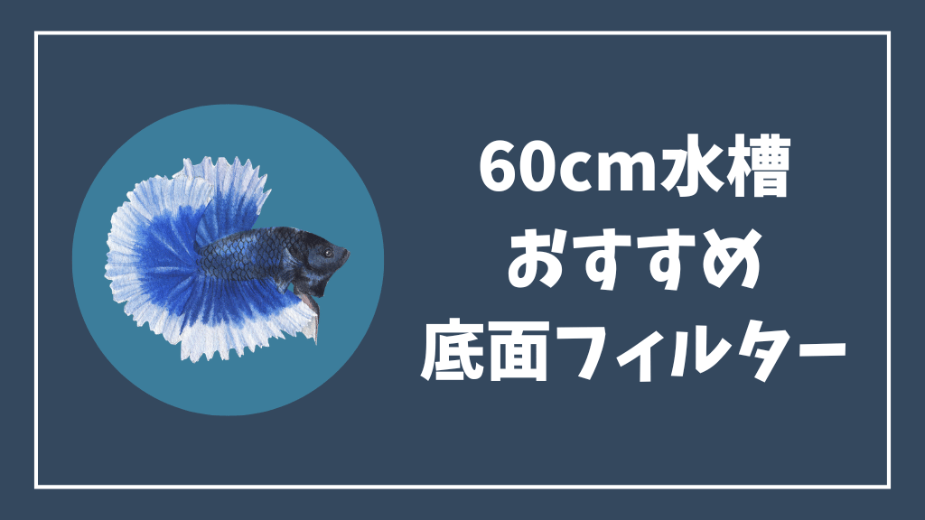 60cm水槽におすすめの底面フィルター