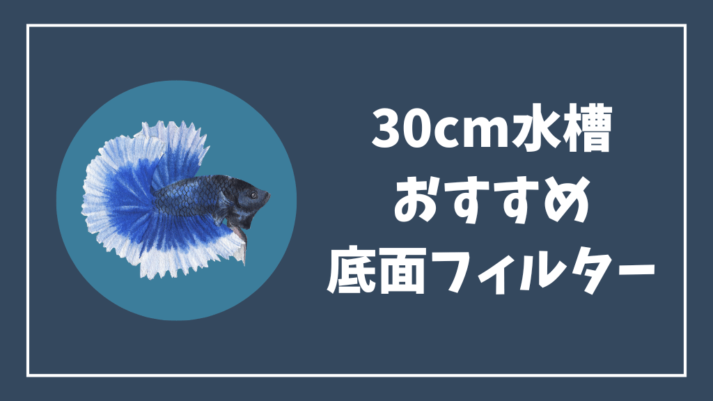 30cm水槽のチェリーシュリンプにおすすめの底面フィルター