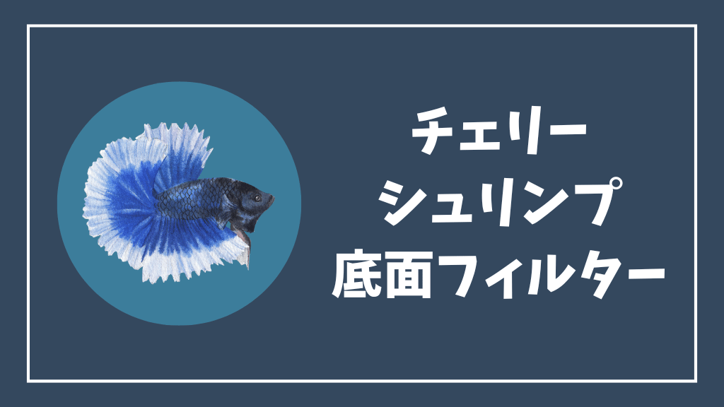 チェリーシュリンプにおすすめの底面フィルター