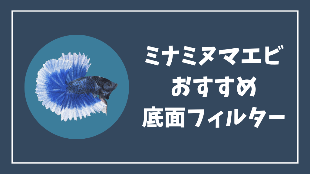ミナミヌマエビにおすすめの底面フィルター