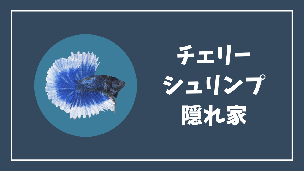 チェリーシュリンプにおすすめの隠れ家