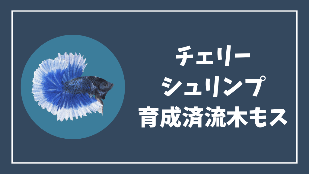 チェリーシュリンプにおすすめの育成済流木ウィローモス