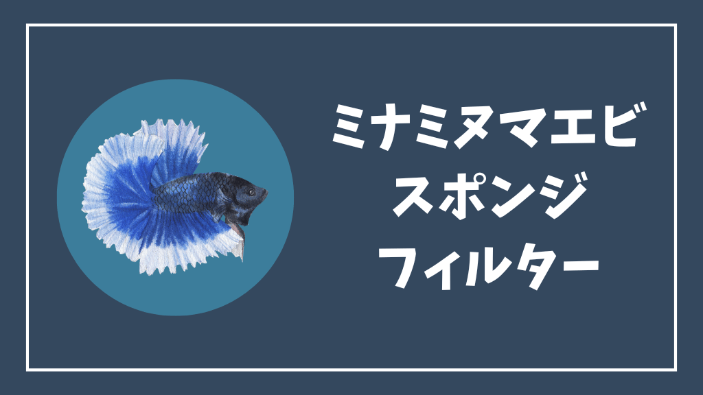 ミナミヌマエビにおすすめのスポンジフィルター