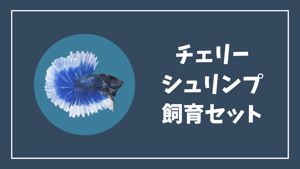 チェリーシュリンプにおすすめの飼育セット