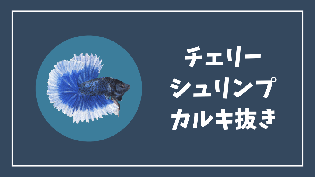 チェリーシュリンプにおすすめのカルキ抜き