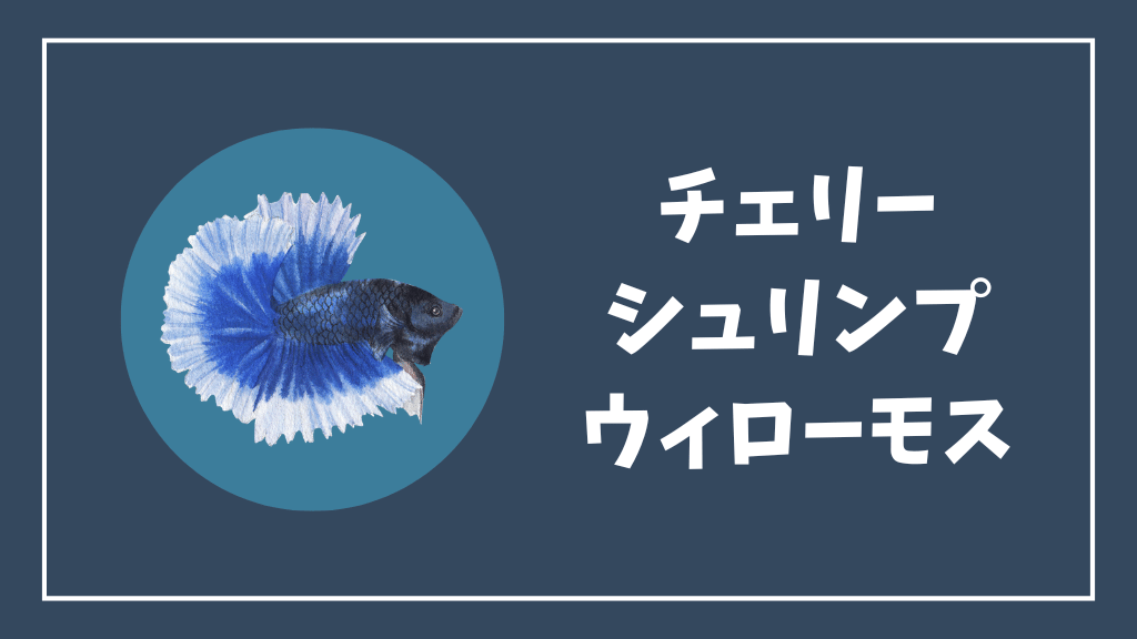 チェリーシュリンプにおすすめのウィローモス