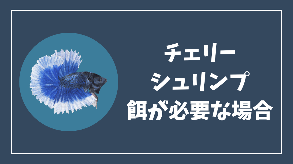 チェリーシュリンプの餌が必要な場合