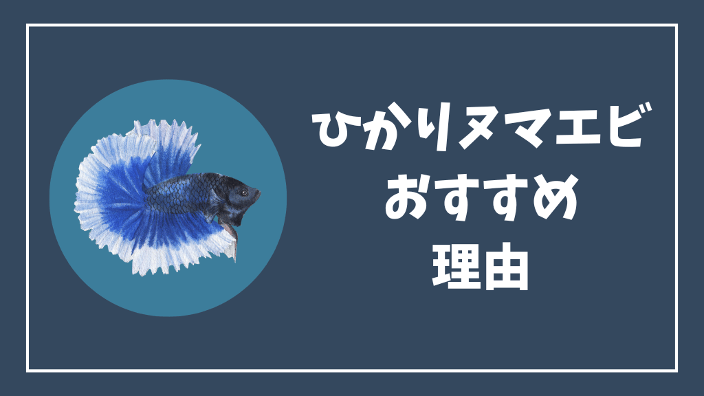 ひかりヌマエビがミナミヌマエビにおすすめな理由