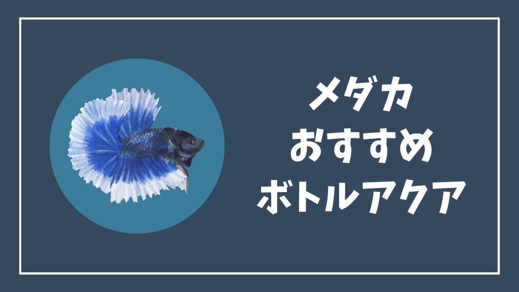 メダカにおすすめのボトルアクアリウム
