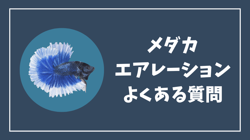 メダカのエアレーションのよくある質問
