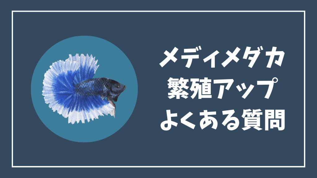 メディメダカ繁殖アップのよくある質問