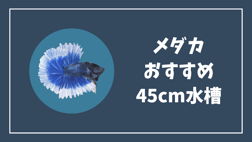 メダカにおすすめの45cm水槽
