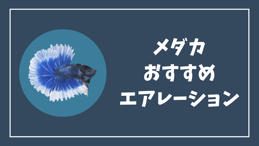 メダカにおすすめのエアレーションセット