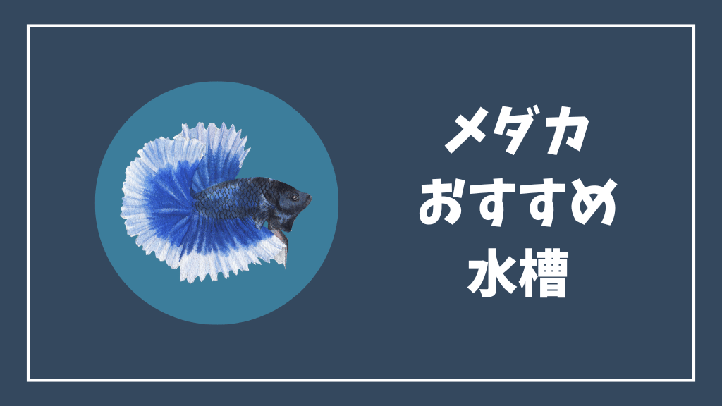 メダカにおすすめの水槽