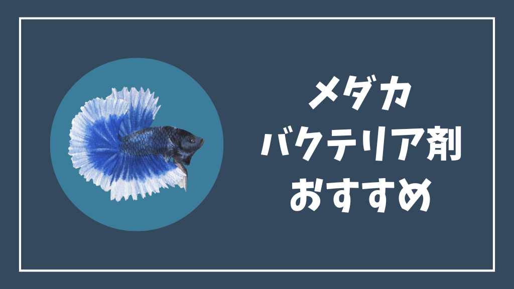 メダカにおすすめのバクテリア剤