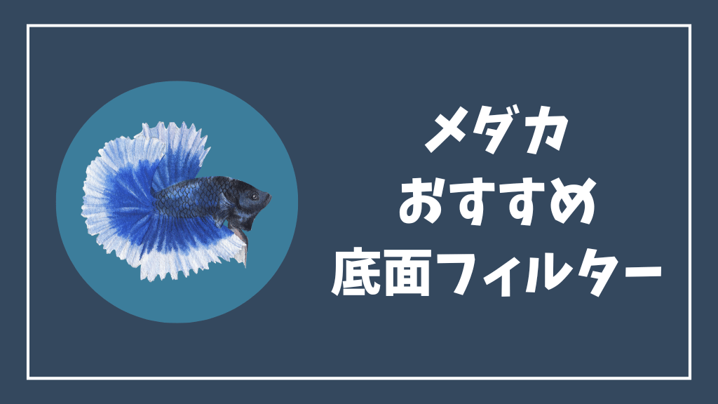 メダカにおすすめの底面フィルター