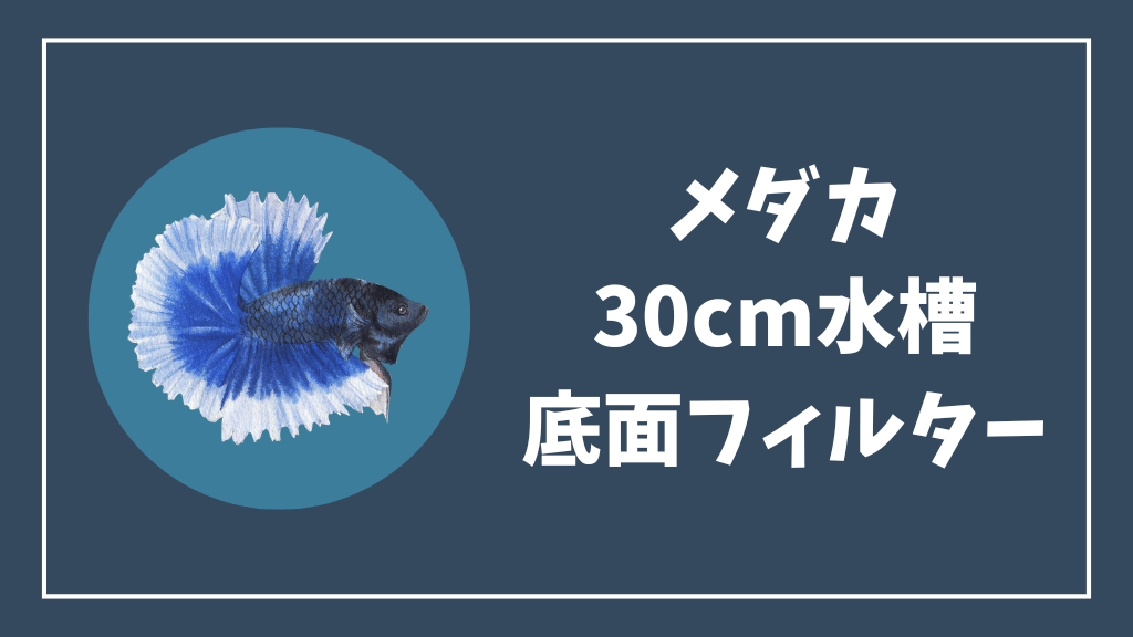 メダカにおすすめの30cm水槽の底面フィルター