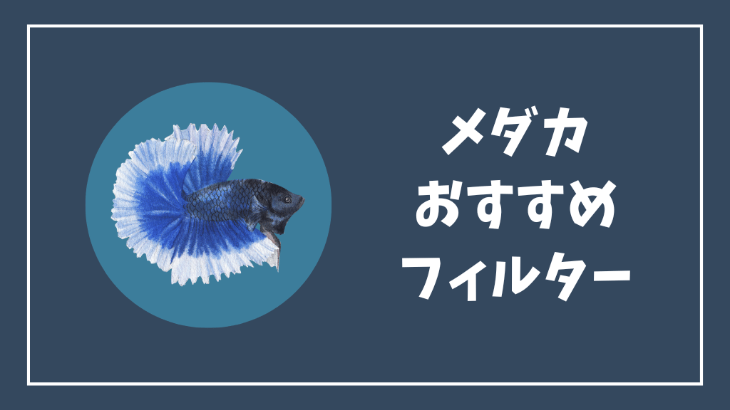 メダカにおすすめのフィルター